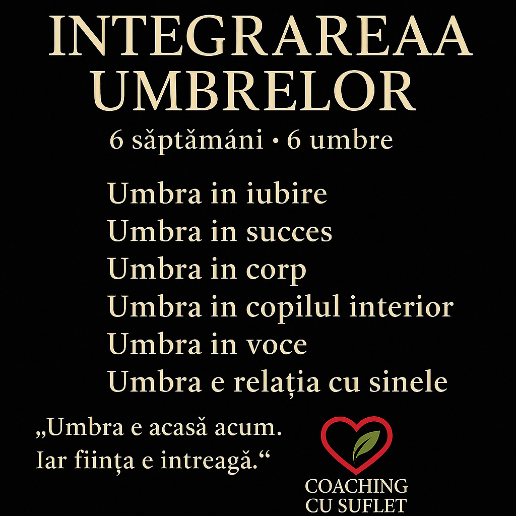 Integrarea Umbrelor - Program Individual