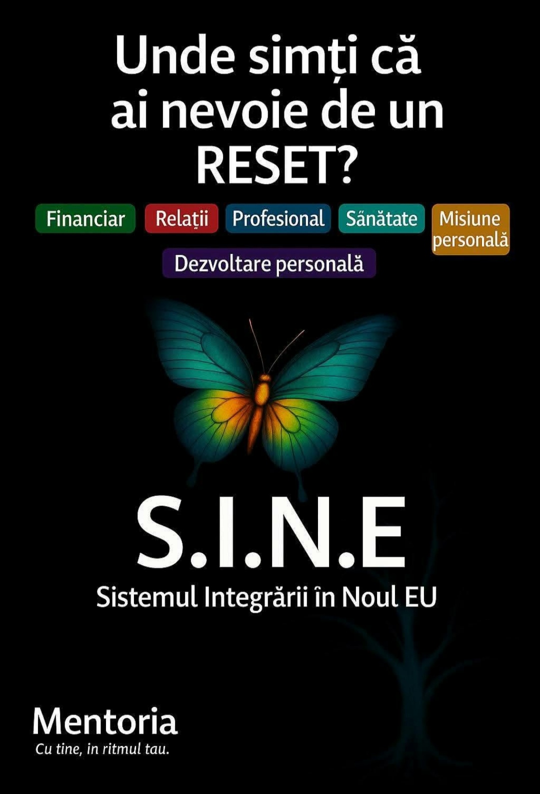 S.I.N.E– Sistemul Integrării în Noul Eu